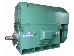 JR147-8YKK系列高压电机