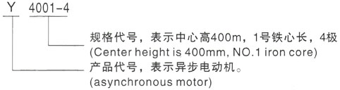 西安泰富西玛Y系列(H355-1000)高压JR147-8三相异步电机型号说明