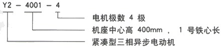 YR系列(H355-1000)高压JR147-8三相异步电机西安西玛电机型号说明